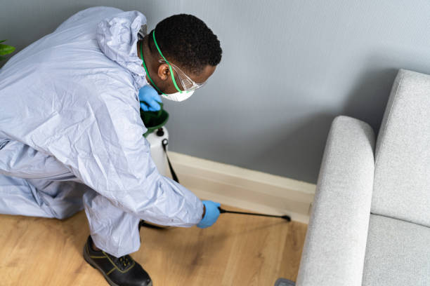 Best Residential Pest Control  in Corrigan, TX